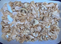 Salziger köstlicher ganzer in Büchsen konservierter Champignon-Pilz