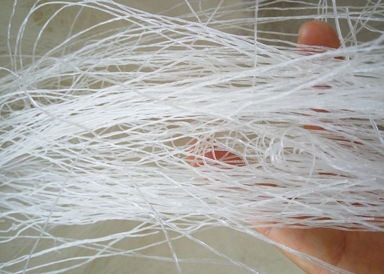 OEM Longkou Vermicelli Noodles für maßgeschneiderte Verpackungen und Marken