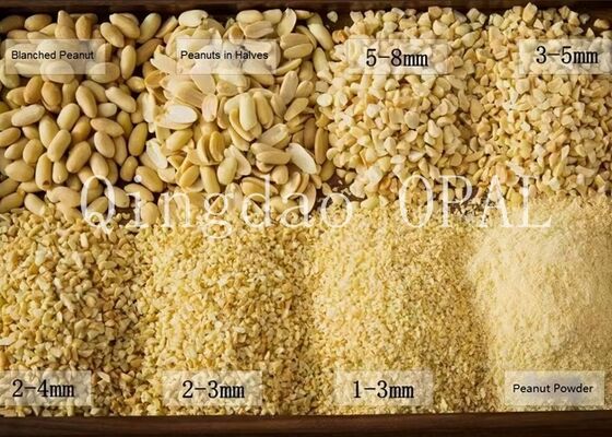 Premium geschälte Erdnusskerne, HALAL & EU-konform, rohe geschälte Erdnüsse für den Import