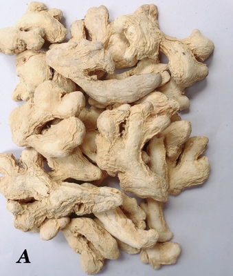 Getrockneter, dehydrierter Ingwer