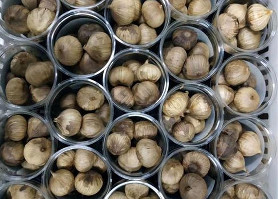 Solo gor schwarzen Knoblauch