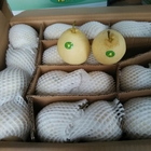 Gelbe chinesische weiße Birne Juice Pome Fruit HACCP