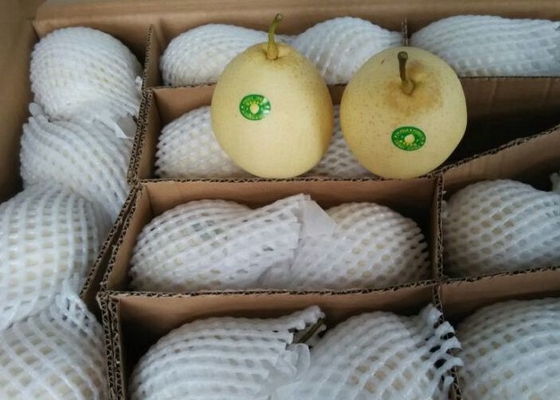 Klare chinesische weiße Birne