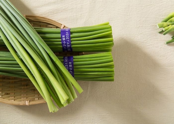 45cm Knoblauch, der grüne Stämme wächst