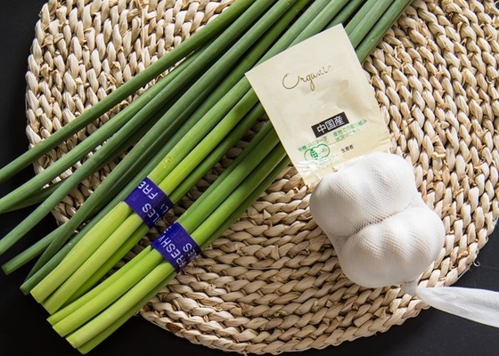 Neuer Knoblauch-Bolzen HACCP