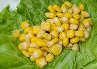 Nicht ganzer süßer Kern-Mais GMOs 150g