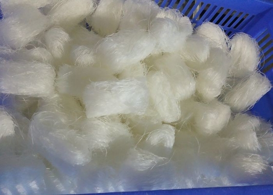 Kochen von Mung Bean Glass Noodles