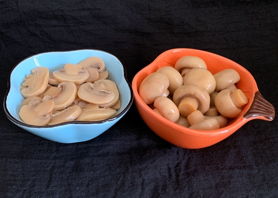 Salz in Büchsen konservierter Champignon-Pilz