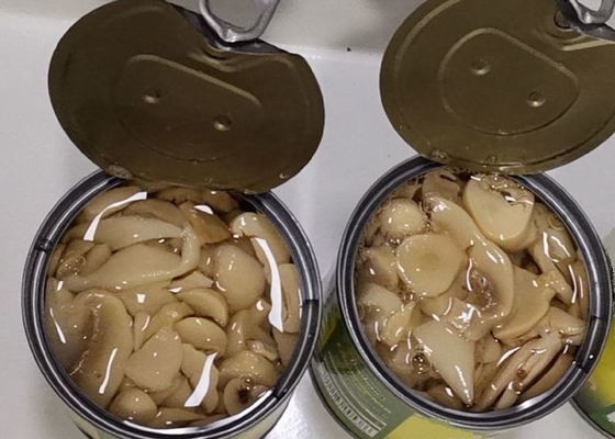 Salz in Büchsen konservierter Champignon-Pilz