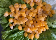 Nicht gelbe süße eingemachte Mais-Kerne GMOs 5.29oz