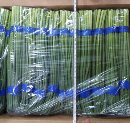 Neuer Knoblauch-Bolzen HACCP