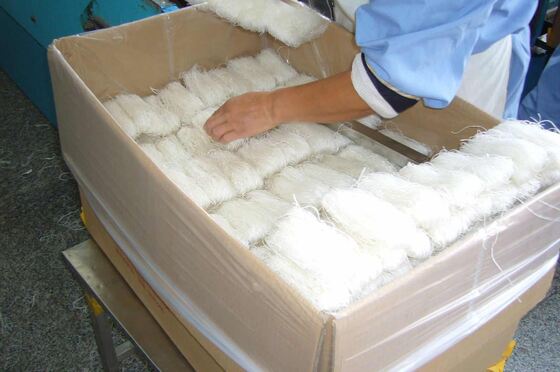Halal Hotel Grüne Bohne Vermicelli China Longkou Vermicelli Fabrik Lieferant