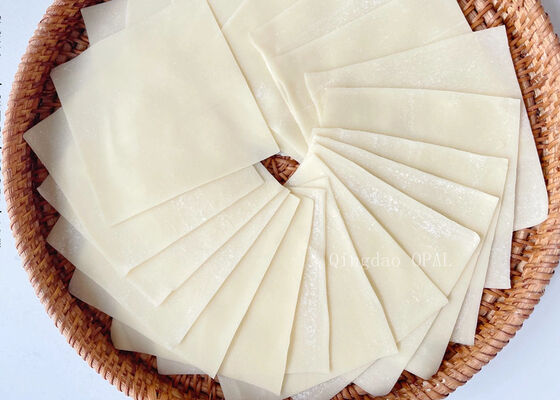 Wan-Tan-Wrapper | BRC- und HALAL-zertifiziert | EU-Standardfabrik